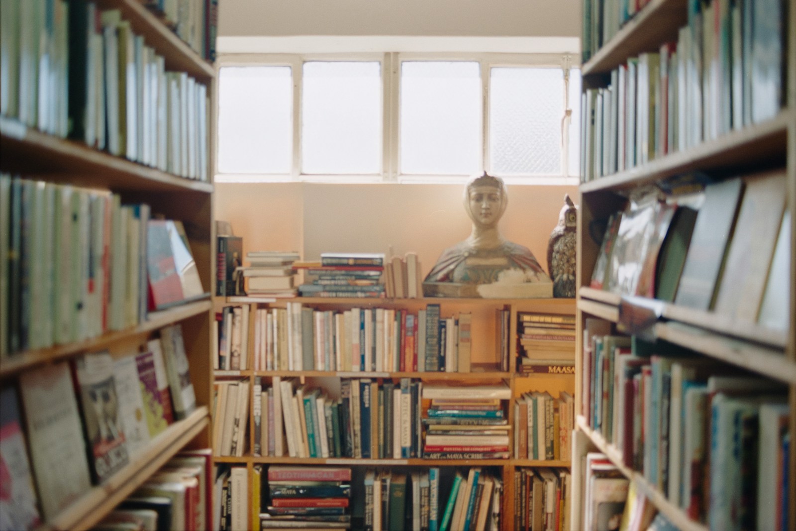 Books fill shelves in a cozy library.